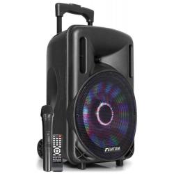 Ibiza Sound Fenton FT10LED 450W
