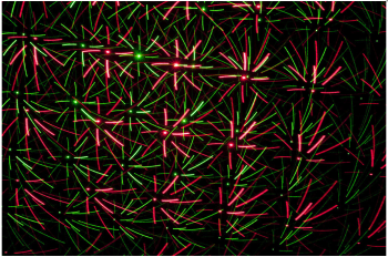 Laserworld EL-100RG MICRO RC