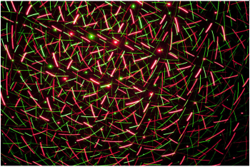 Laserworld EL-100RG MICRO RC