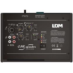 LDM CarSpeaker-90/T2100 1 mikrofon naglowny