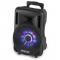 Ibiza Sound Fenton FT10LED 450W
